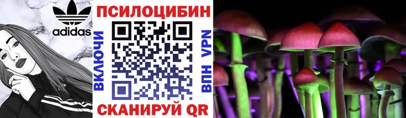 Псилоцибиновые грибы MAGIC MUSHROOMS  Духовщина 
